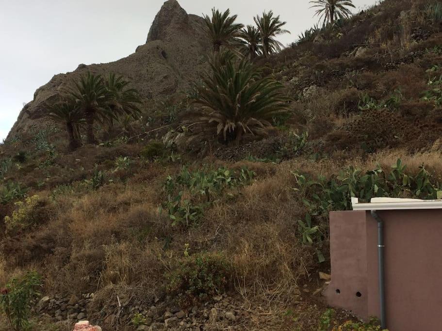 Casa-Solarium En La Naturaleza Santa Cruz de Tenerife Esterno foto